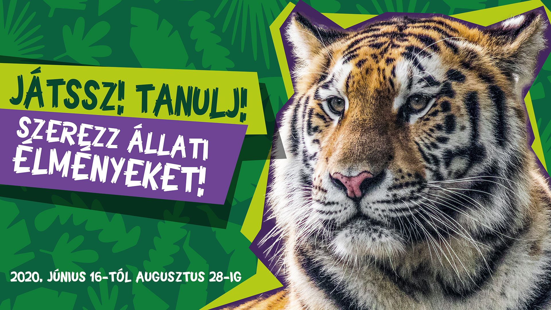 A Debreceni Zootábor idén is felejthetetlen élményeket kínál a nyárra!!