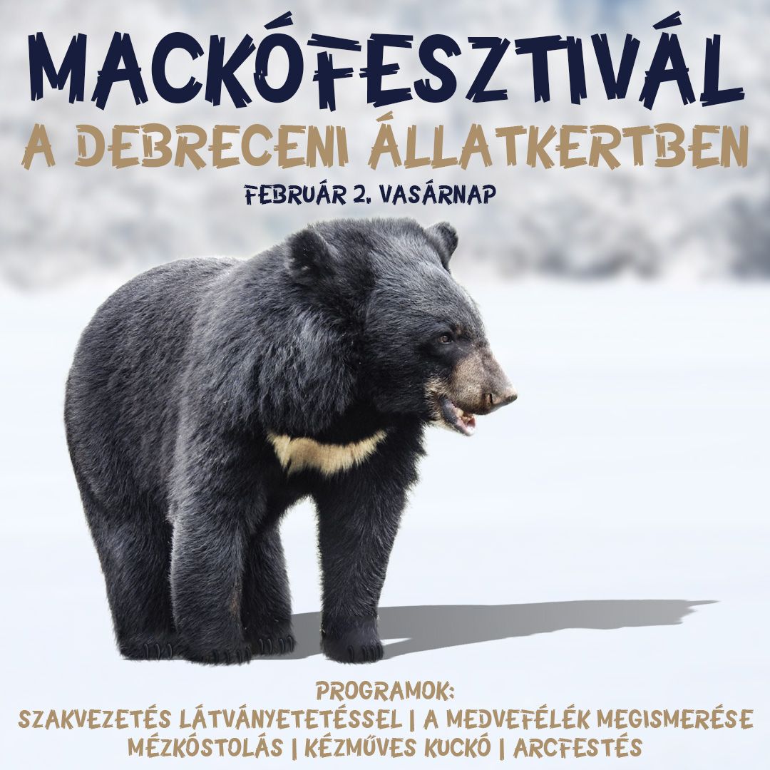 Mackófesztivál a Debreceni Állatkertben!