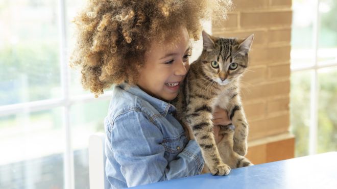 Macska kisgyerekkel - Képünk illusztráció, forrás: Getty Images