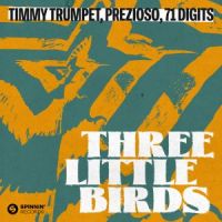 Timmy Trumpet X Prezioso X 71 Digits – Three Little Birds