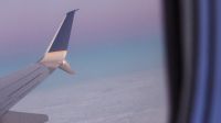 Elszabadult kígyó okozott pánikot a United Airlines egyik járatán