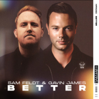 Sam Feldt &amp; Gavin James – Better