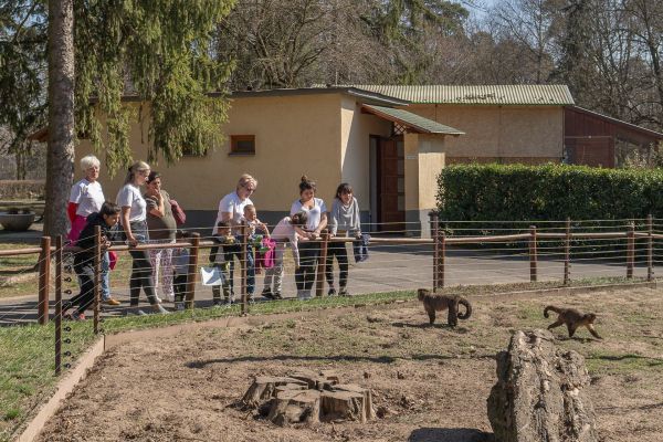 A Debreceni Állatkert díjmentes látogatással és szakvezetéssel segíti az Ukrajnából érkező menekülteket!