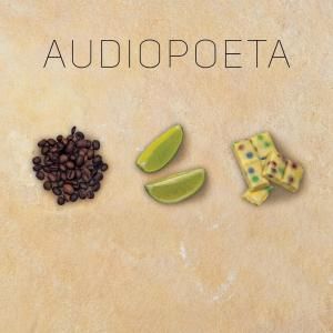 Audiopoeta – Törj be