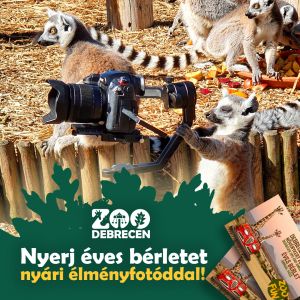 Évszakos fotópályázatot hirdet a Zoo Debrecen!